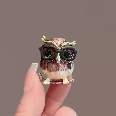 Animals Glasses Owl Brooch